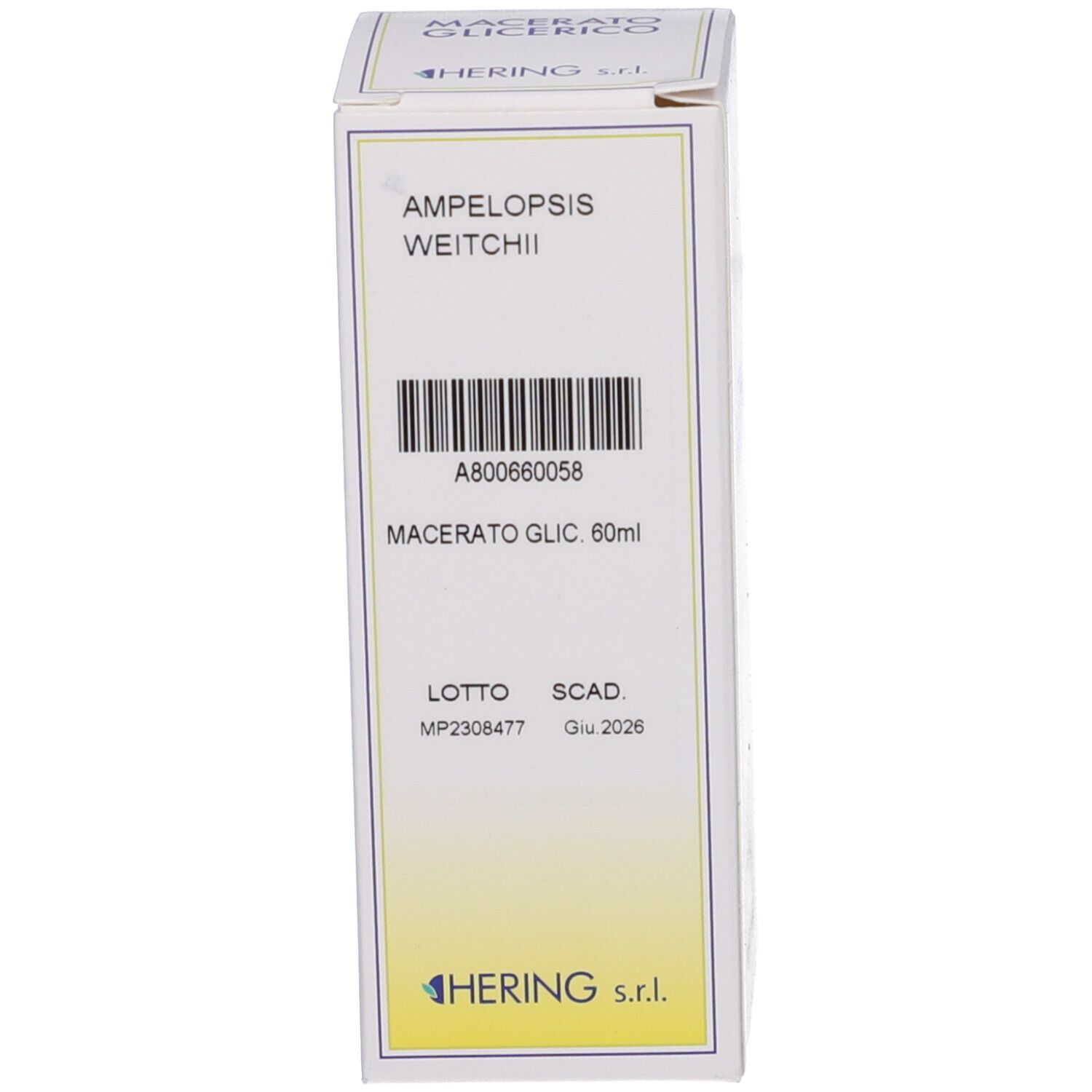 Scatola bianca con scritta: Ampelopsis Weitchii, HERING. Codice a barre e altre informazioni.
