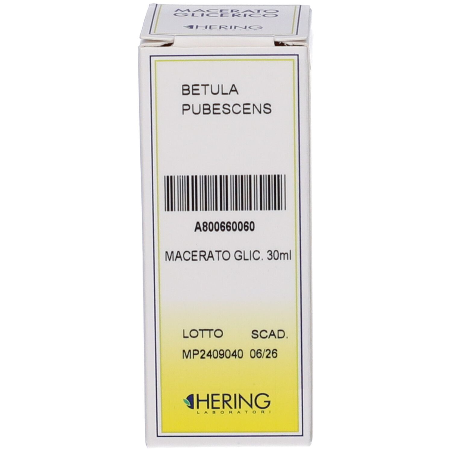 Confezione in cartone con etichetta 'Betula Pubescens Macerato Glic. 30ml' e codice a barre.