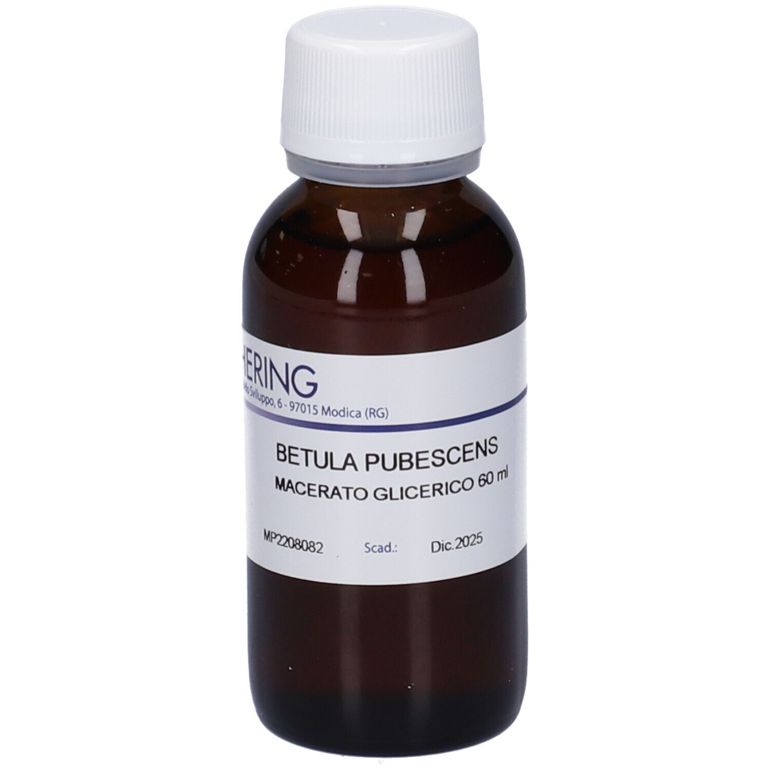 Hering Betula Pubescens Gemme 60Ml Mg