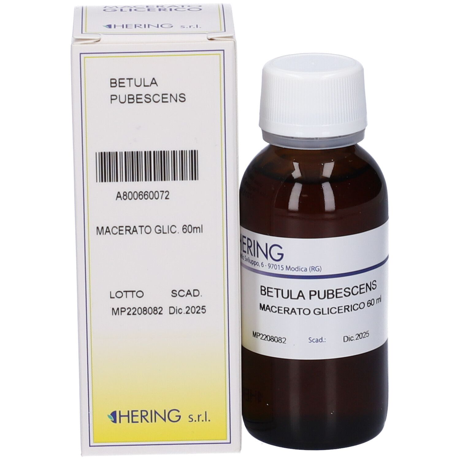 Confezione del prodotto con flacone e scatola. Scritta: Betula Pubescens, Macerato Glicerico 60 ml. Marchio Hering.