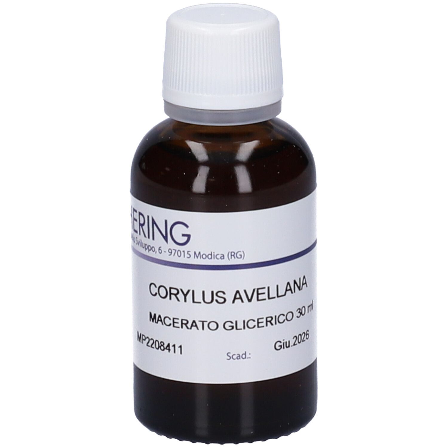 HERING Corylus Avellana Gemmeme Macerato Glicerico