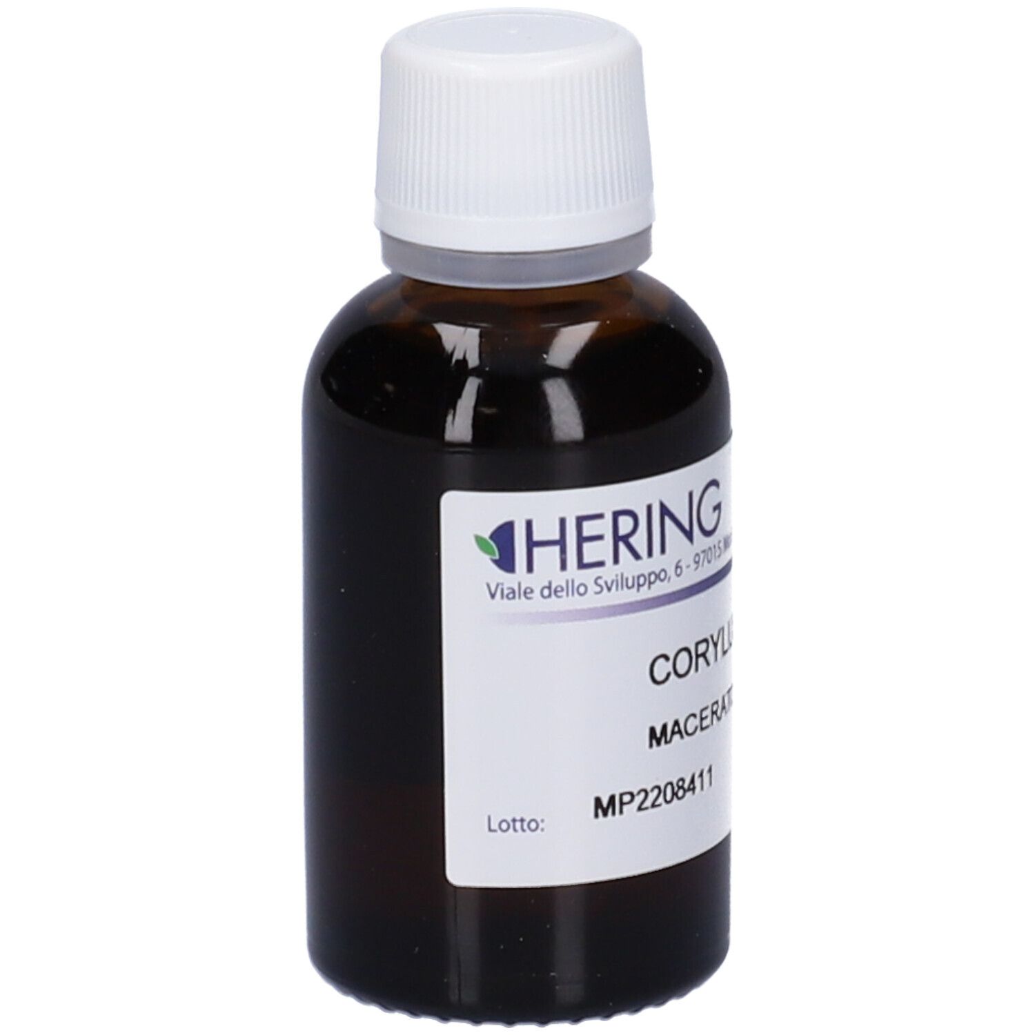HERING Corylus Avellana Gemmeme Macerato Glicerico
