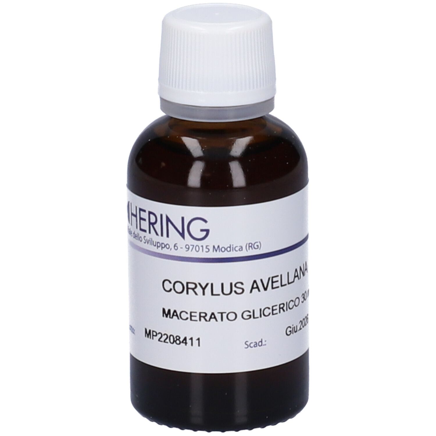 HERING Corylus Avellana Gemmeme Macerato Glicerico
