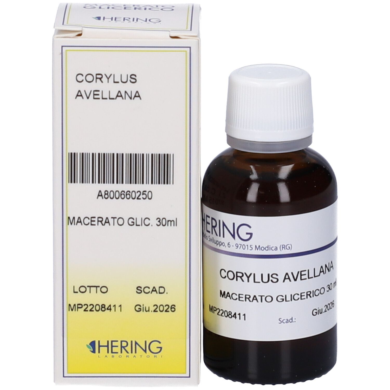 HERING Corylus Avellana Gemmeme Macerato Glicerico