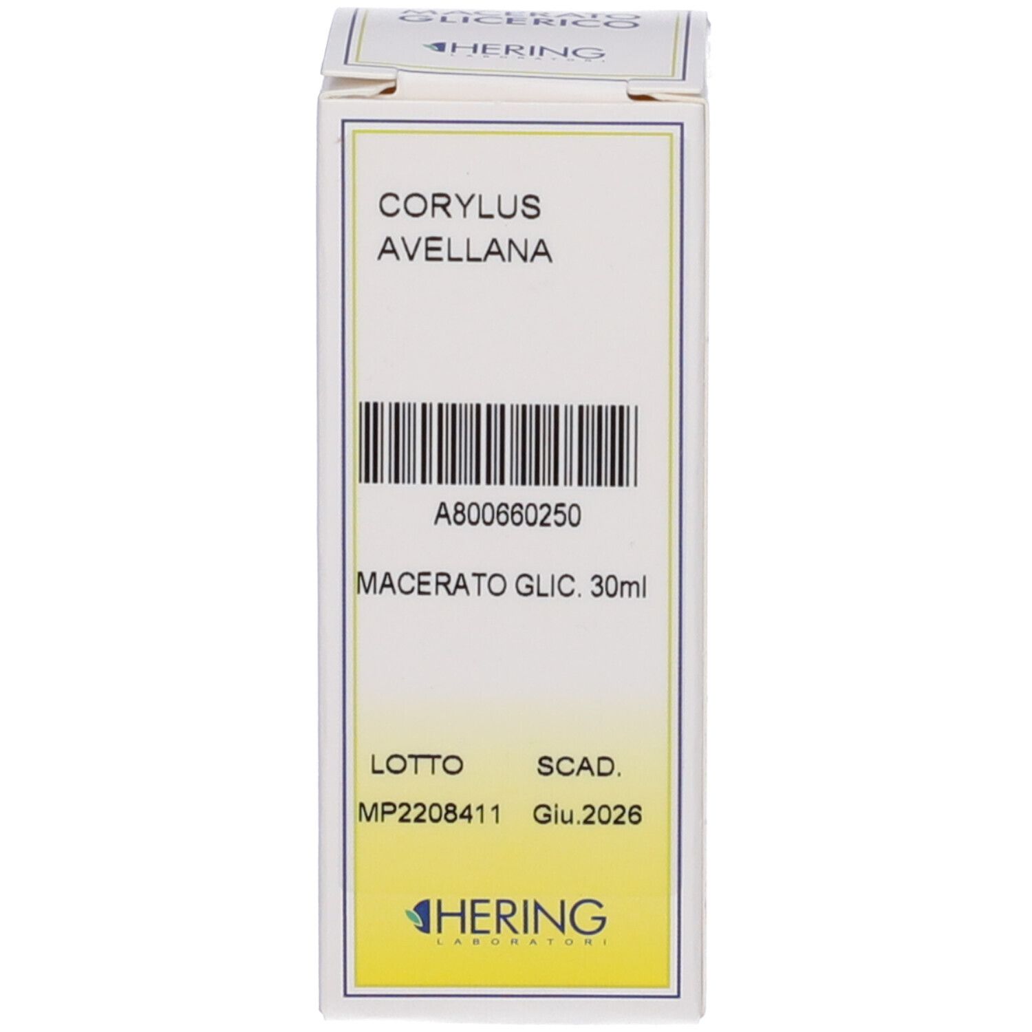 HERING Corylus Avellana Gemmeme Macerato Glicerico