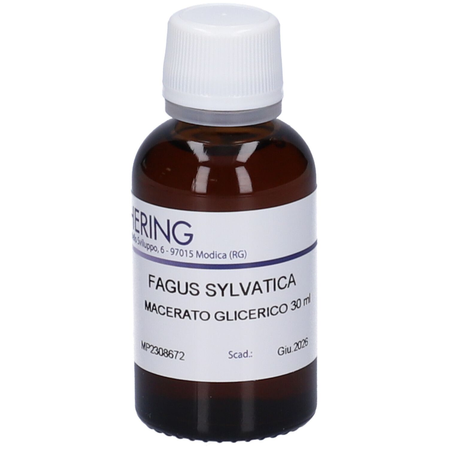 HERING Fagus Sylvatica Gemmeme Macerato Glicerico