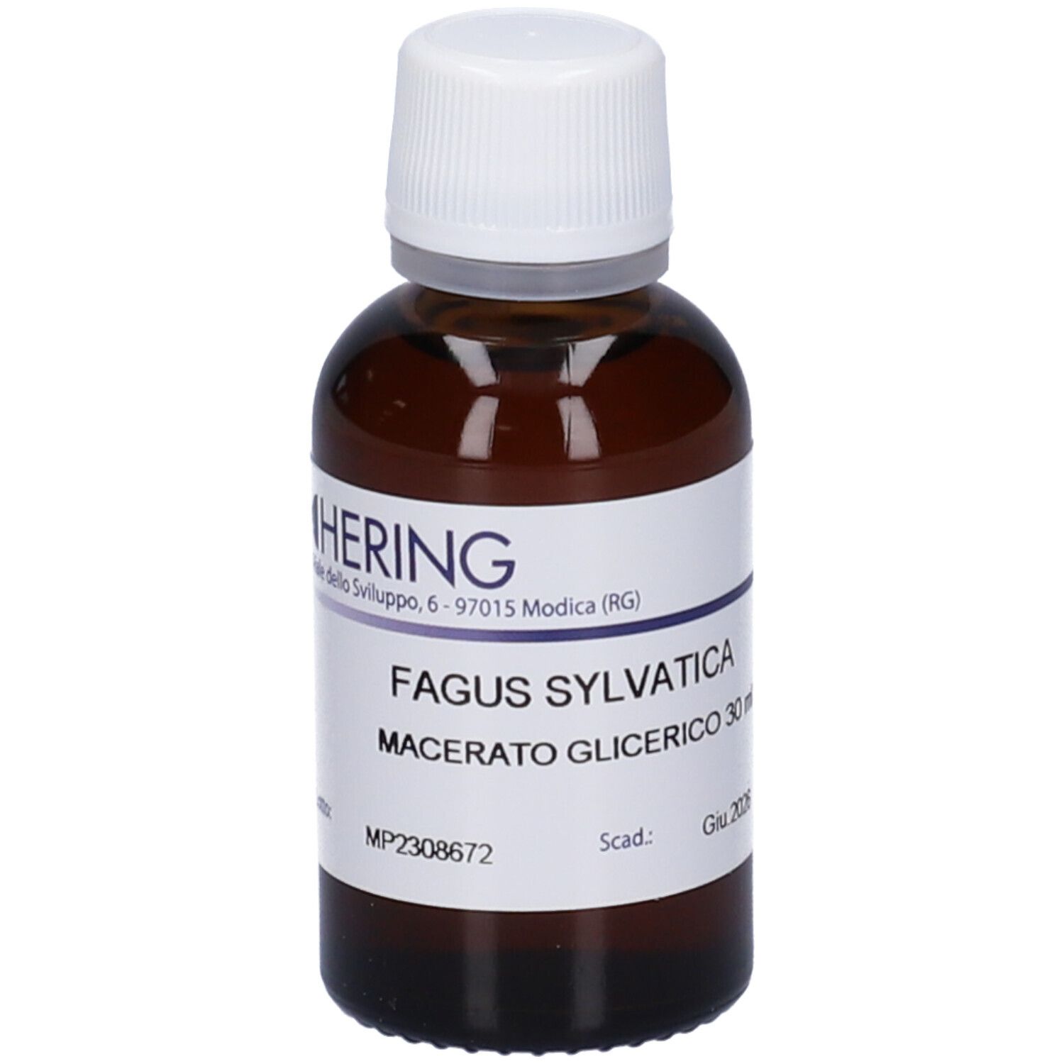 Flacone di vetro marrone con tappo bianco ed etichetta. Scritta: Fagus Sylvatica, Macerato Glicerico. Marchio: HERING.