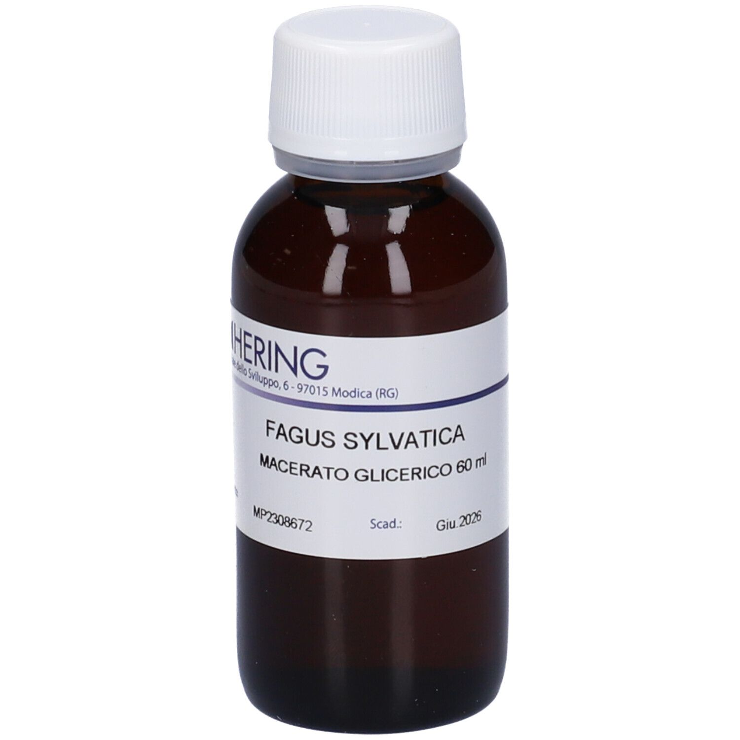 HERING Fagus Sylvatica Gemmeme Macerato Glicerico