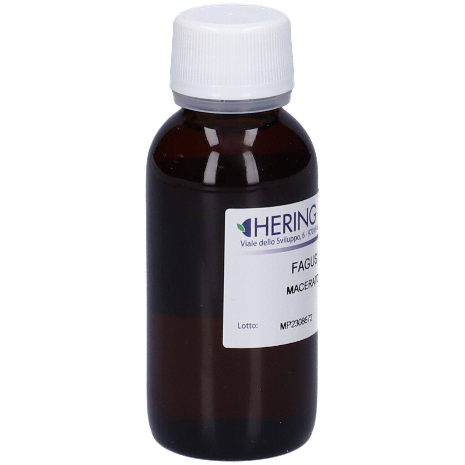 HERING Fagus Sylvatica Gemmeme Macerato Glicerico