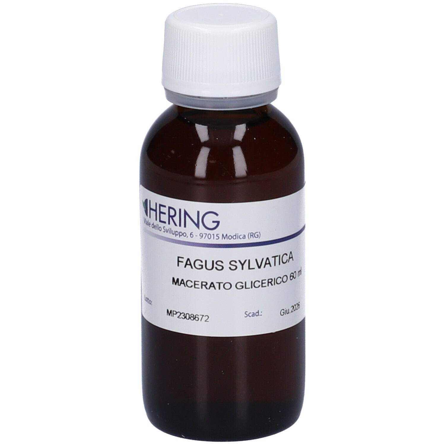 HERING Fagus Sylvatica Gemmeme Macerato Glicerico