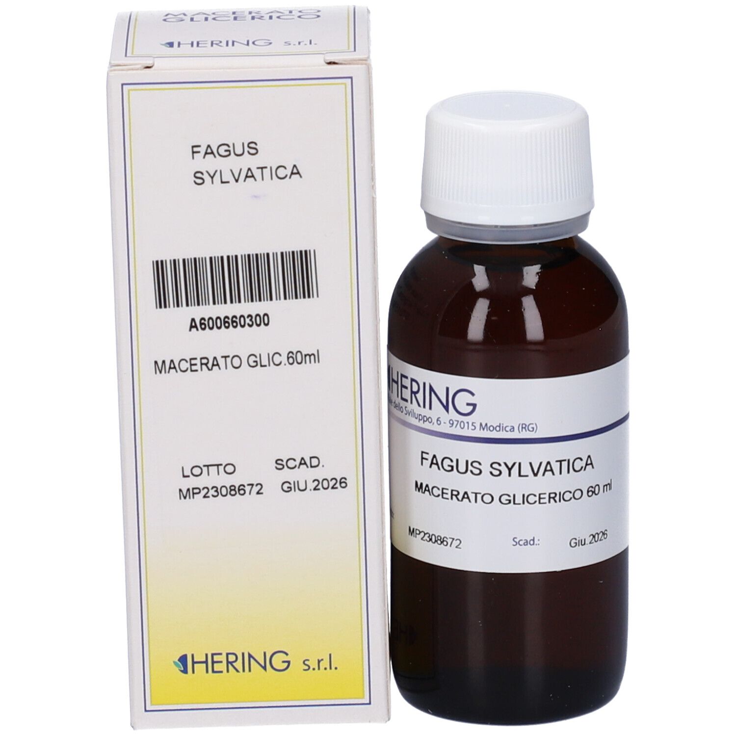 HERING Fagus Sylvatica Gemmeme Macerato Glicerico