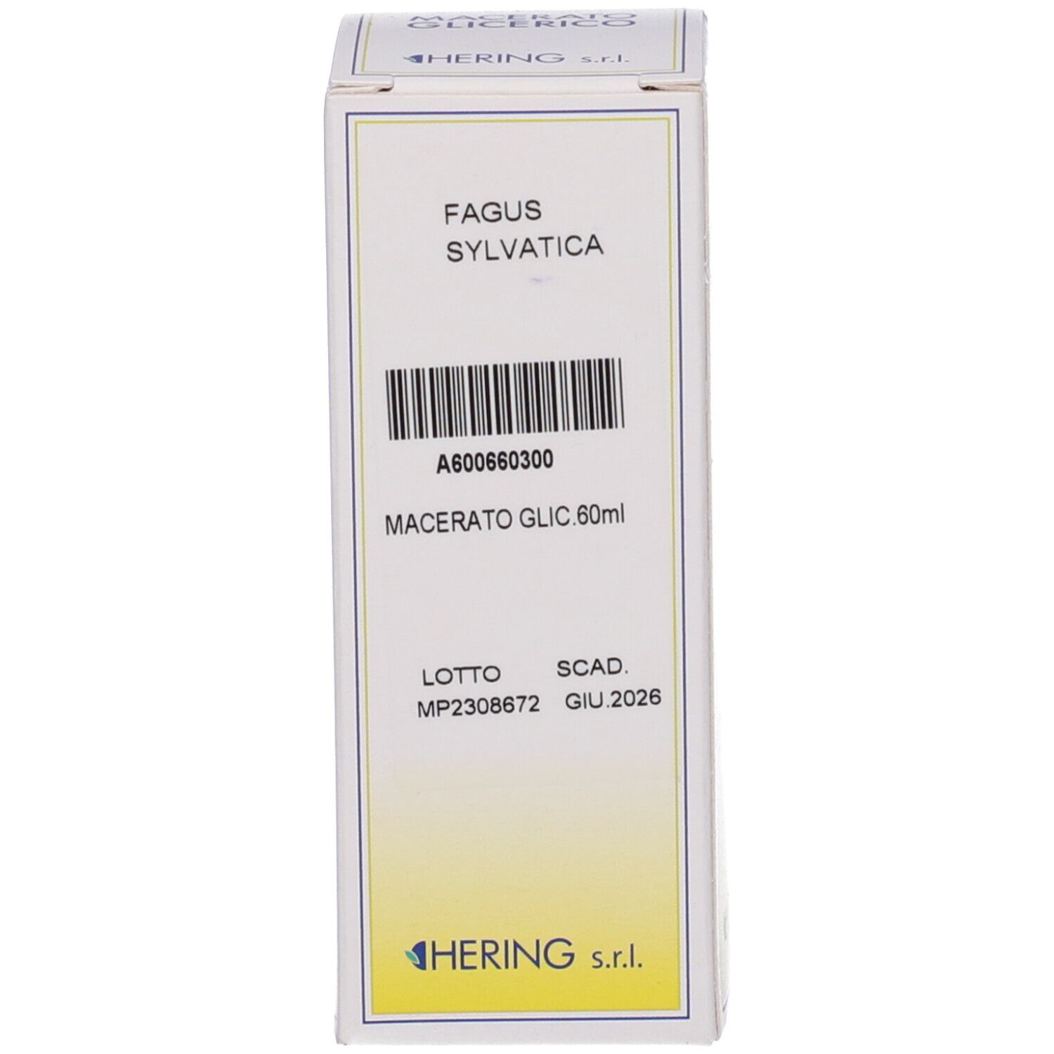 HERING Fagus Sylvatica Gemmeme Macerato Glicerico