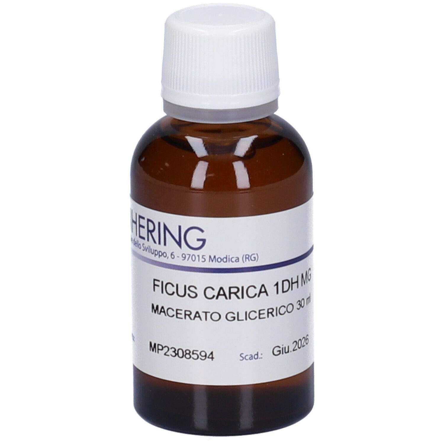 HERING Ficus Carica Gemmeme Macerato Glicerico