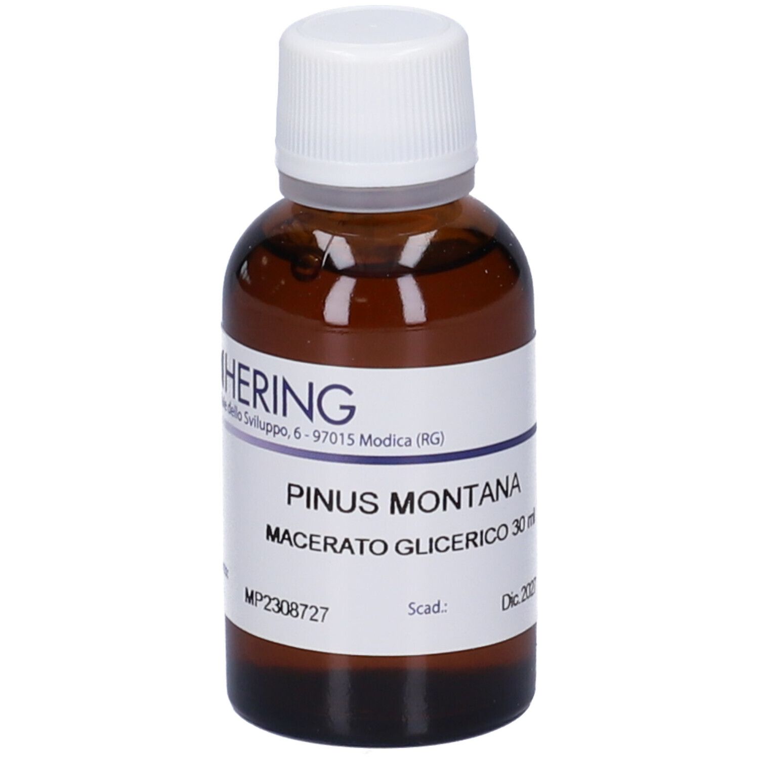 Flacone di vetro marrone con tappo bianco. Etichetta con testo: PINUS MONTANA, Macerato Glicerico 30 ml. Scadenza: Dic. 2027.