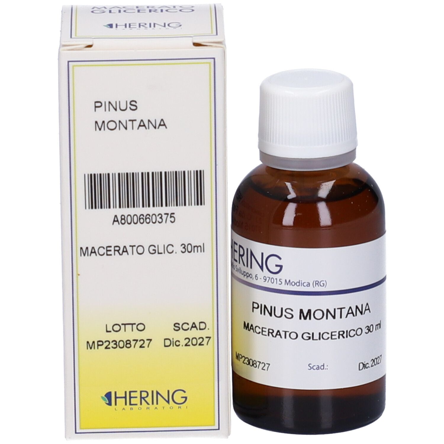 Flacone di vetro marrone con tappo bianco e scatola. Scatola con testo: PINUS MONTANA, Macerato Glic. 30ml. Scadenza: Dic. 2027.
