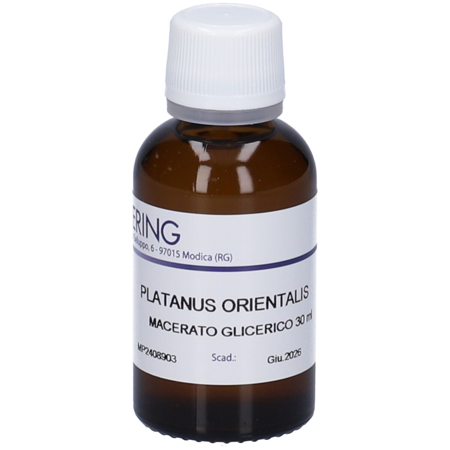 HERING Platanus Orient Gemmeme Macerato Glicerico