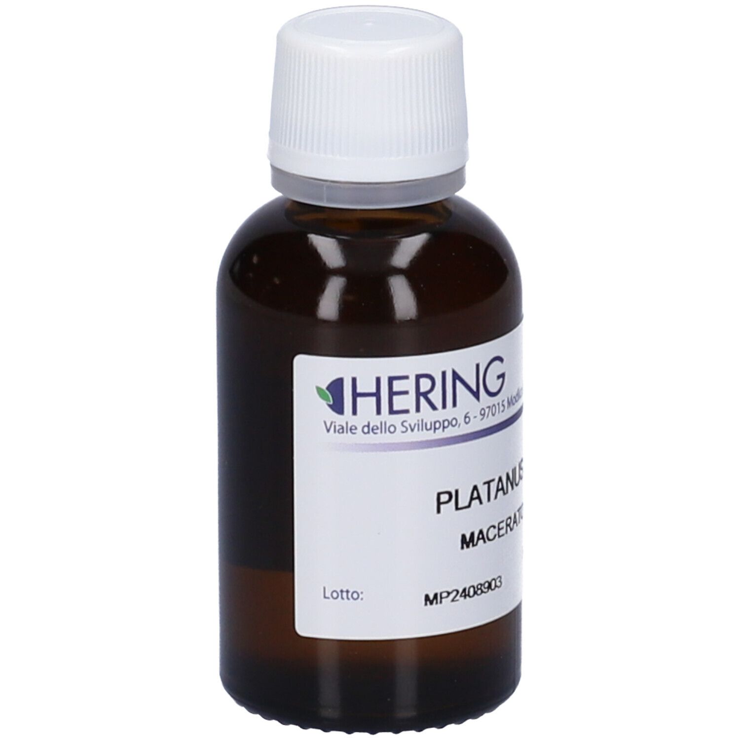HERING Platanus Orient Gemmeme Macerato Glicerico