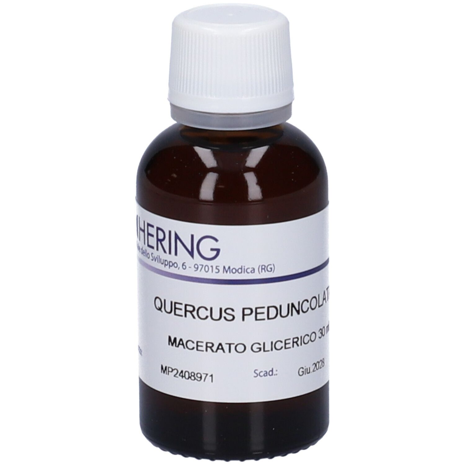 HERING Quercus Pedunc Gemmeme Macerato Glicerico