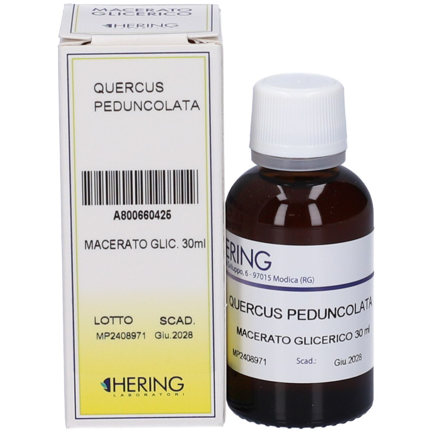 HERING Quercus Pedunc Gemmeme Macerato Glicerico