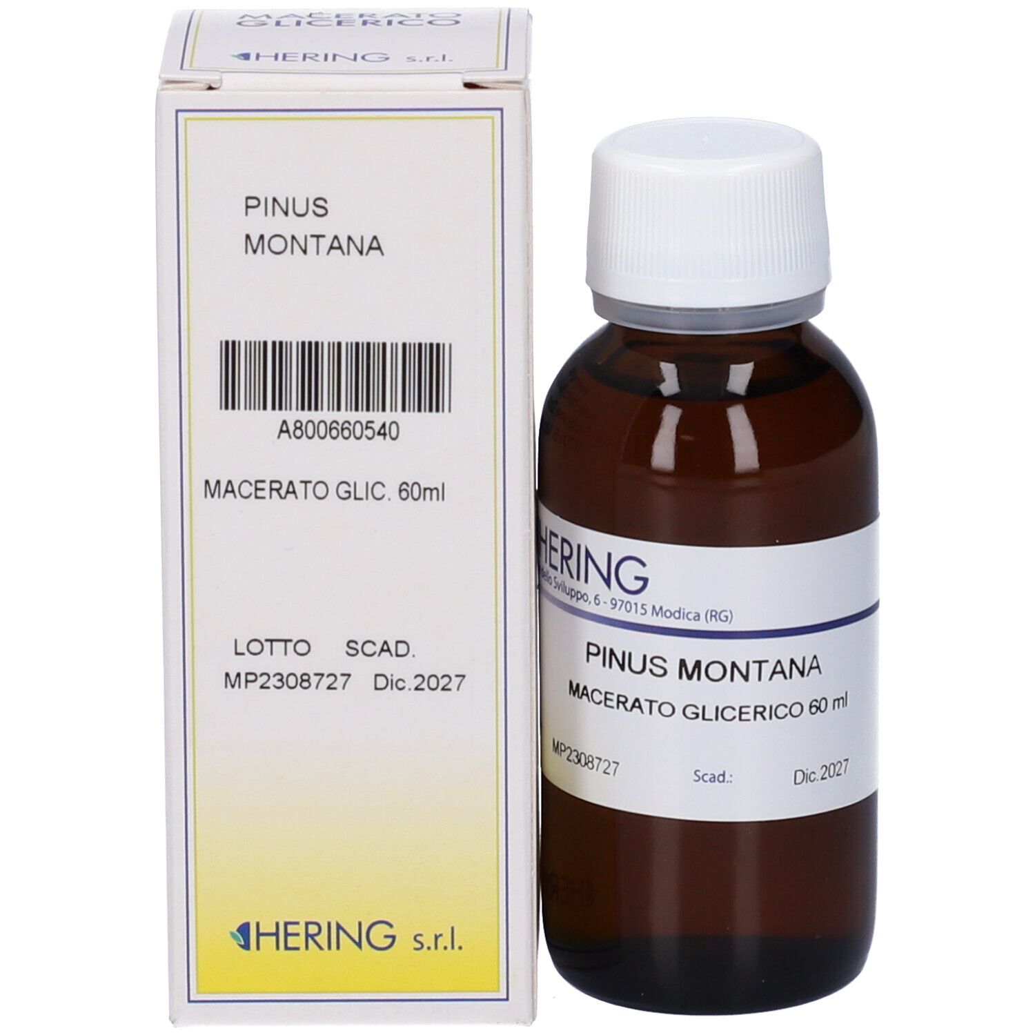 Flacone di vetro marrone con tappo bianco ed etichetta, accanto a confezione bianca. Scritta: PINUS MONTANA, Macerato Glicerico 60 ml. Marchio HERING.