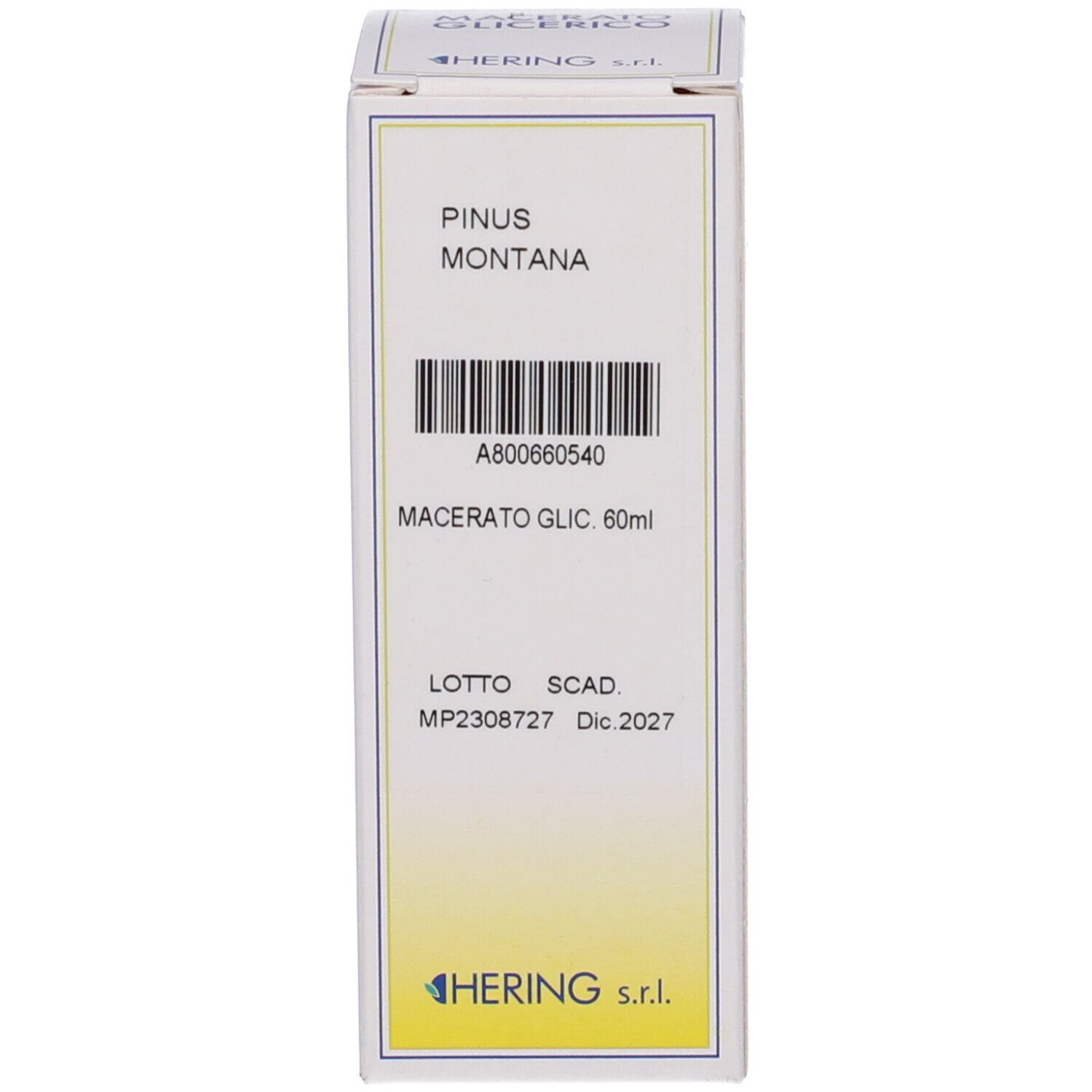 Confezione bianca con informazioni sul prodotto. Scritta: PINUS MONTANA, Macerato Glic. 60ml. Marchio HERING.