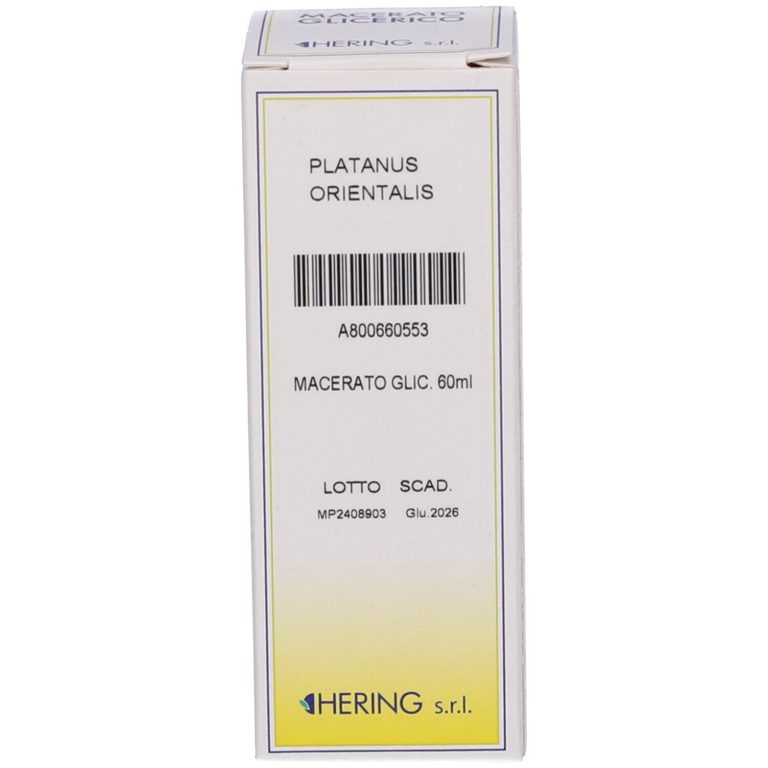Confezione bianca. Scritta: Platanus Orientalis, Macerato Glic. 60ml. Logo HERING.