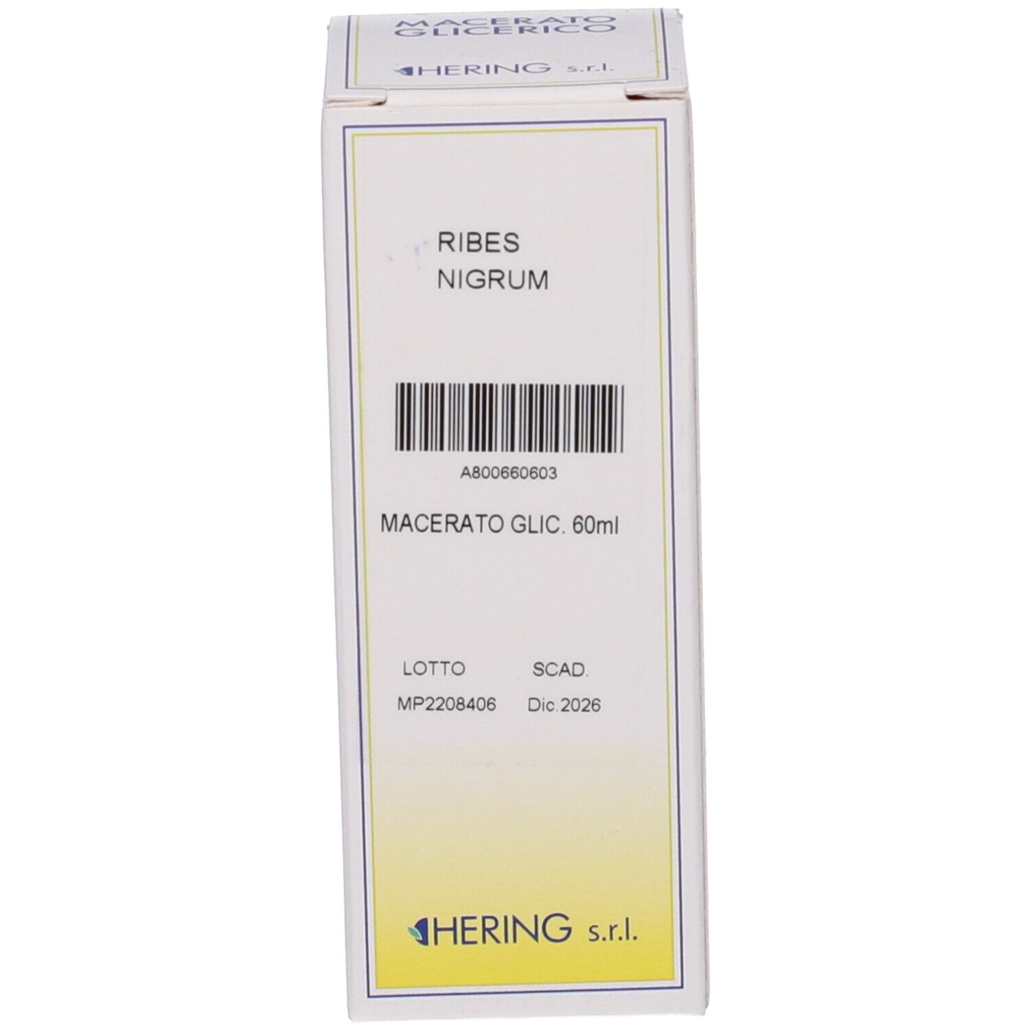HERING Ribes Nigrum Macerato Glicerico