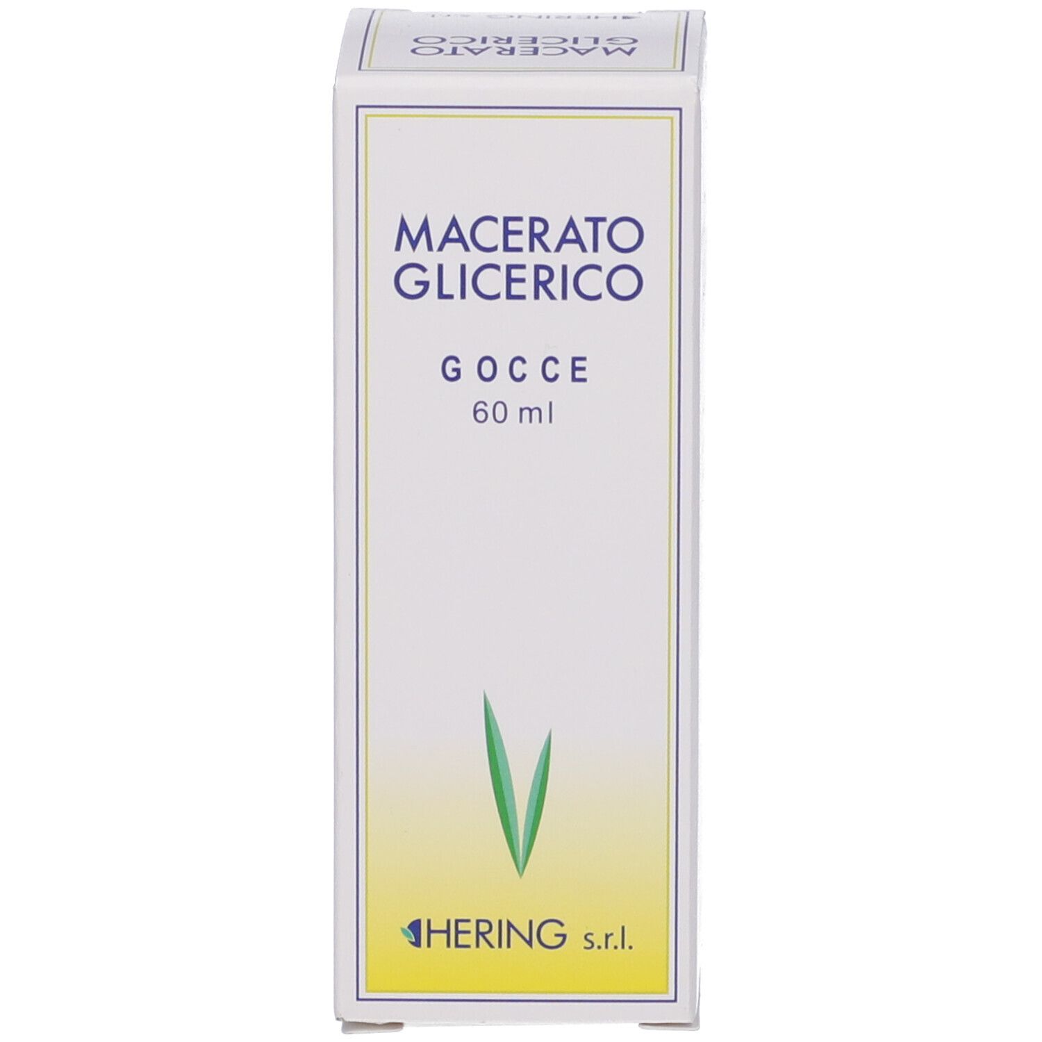 Scatola con nome del prodotto e logo HERING. Forma di foglia verde su sfondo bianco.