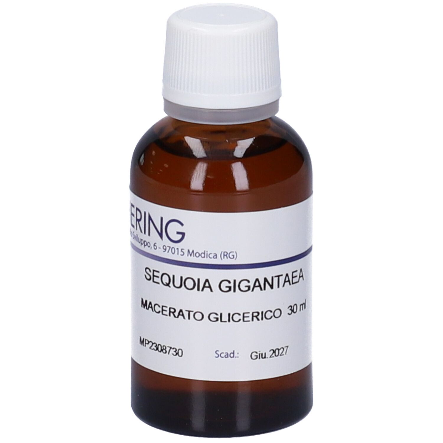 HERING Sequoia Gig Germoglimogli Macerato Glicerico