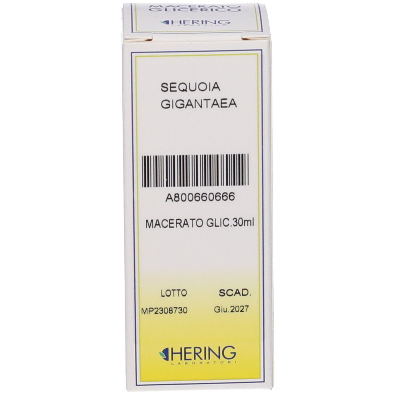 Scatola con scritta: Sequoia Gigantea Macerato Glicerico. Logo del produttore. Codice a barre.