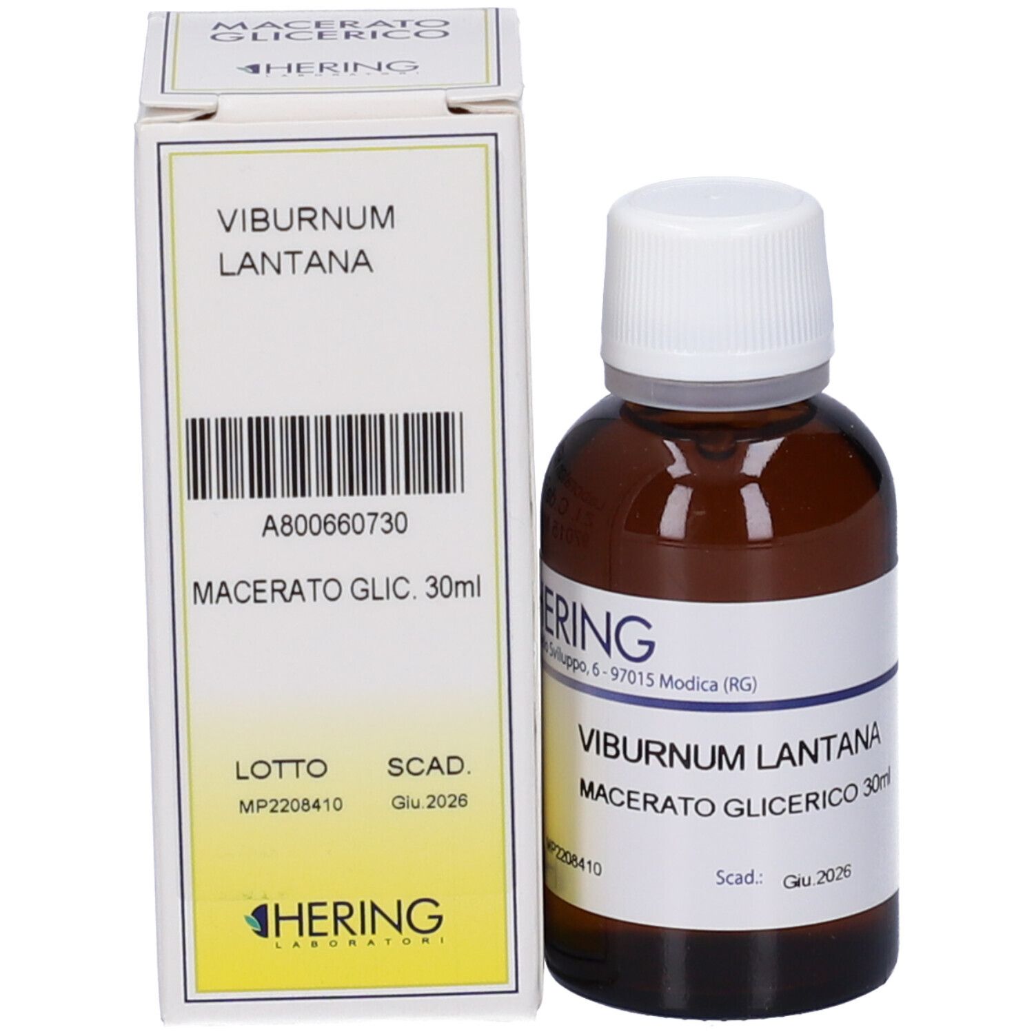 HERING Viburnum L Gemmeme Macerato Glicerico