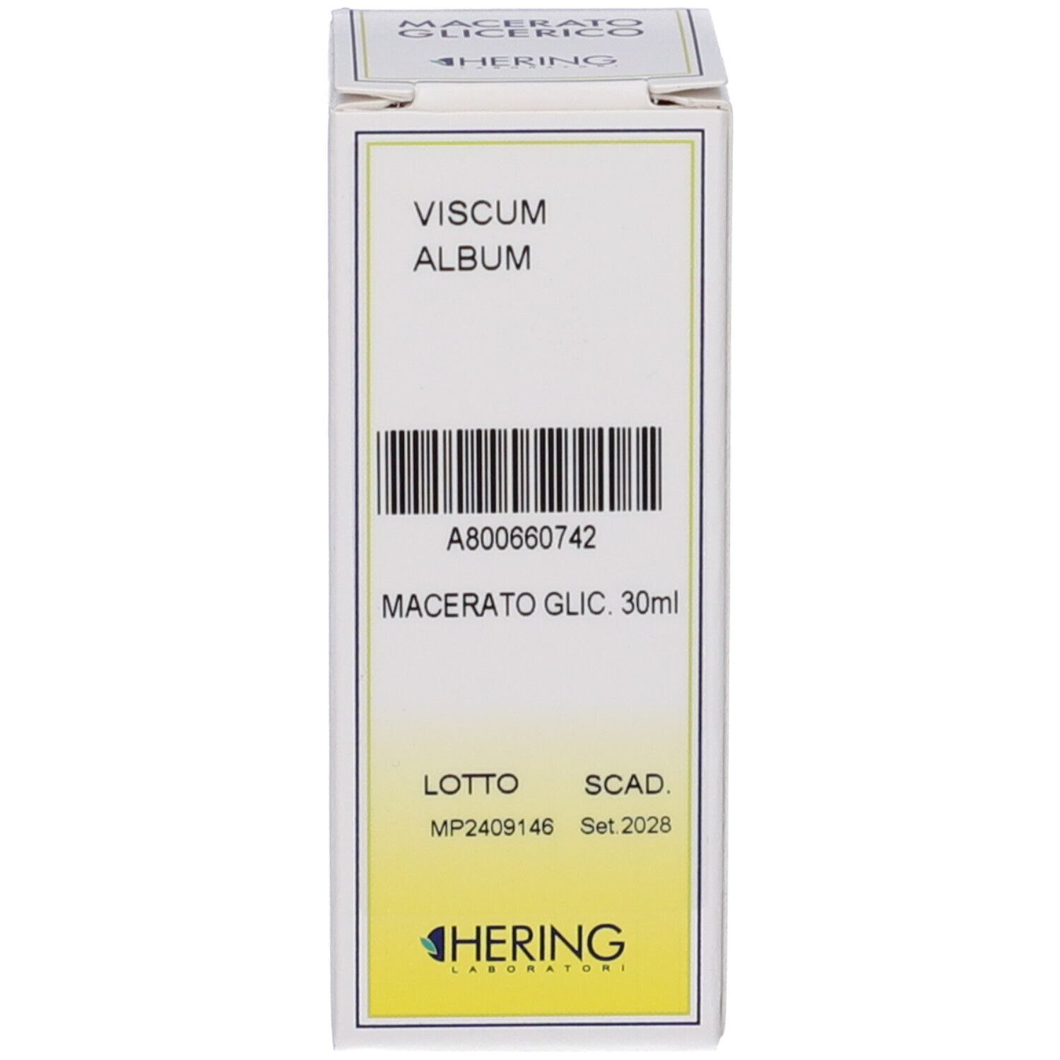 Confezione del prodotto. Scatola bianca con scritta: VISCUM ALBUM, MACERATO GLIC. Marchio HERING. Codice a barre e numero di lotto.