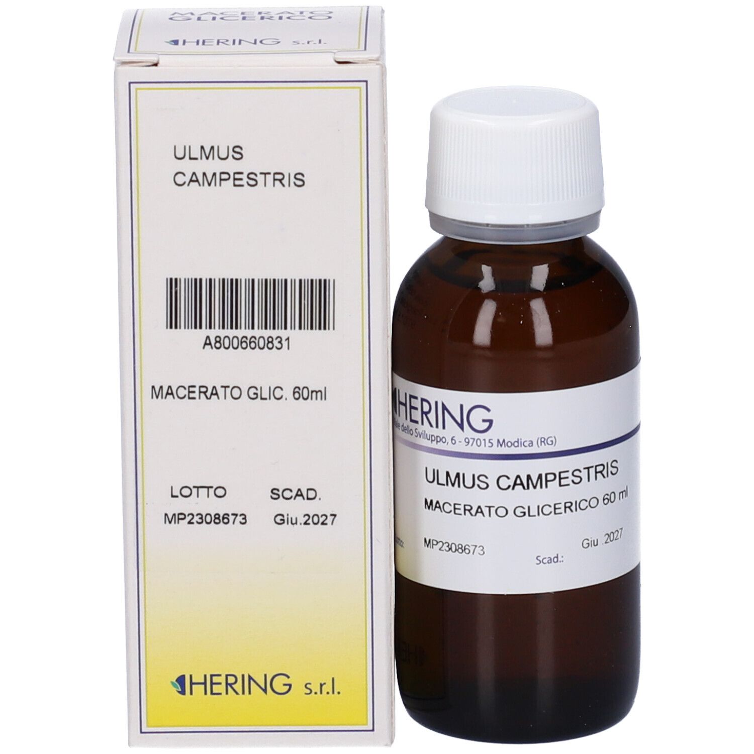 HERING Ulmus Campestris Gemmeme Macerato Glicerico