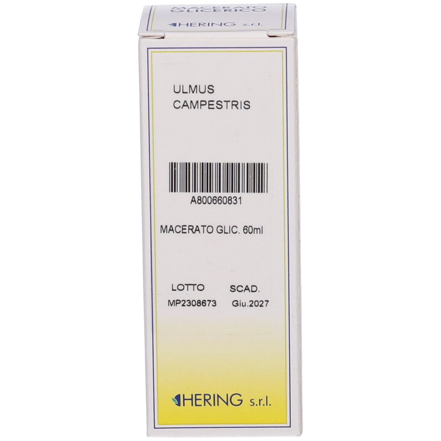 HERING Ulmus Campestris Gemmeme Macerato Glicerico