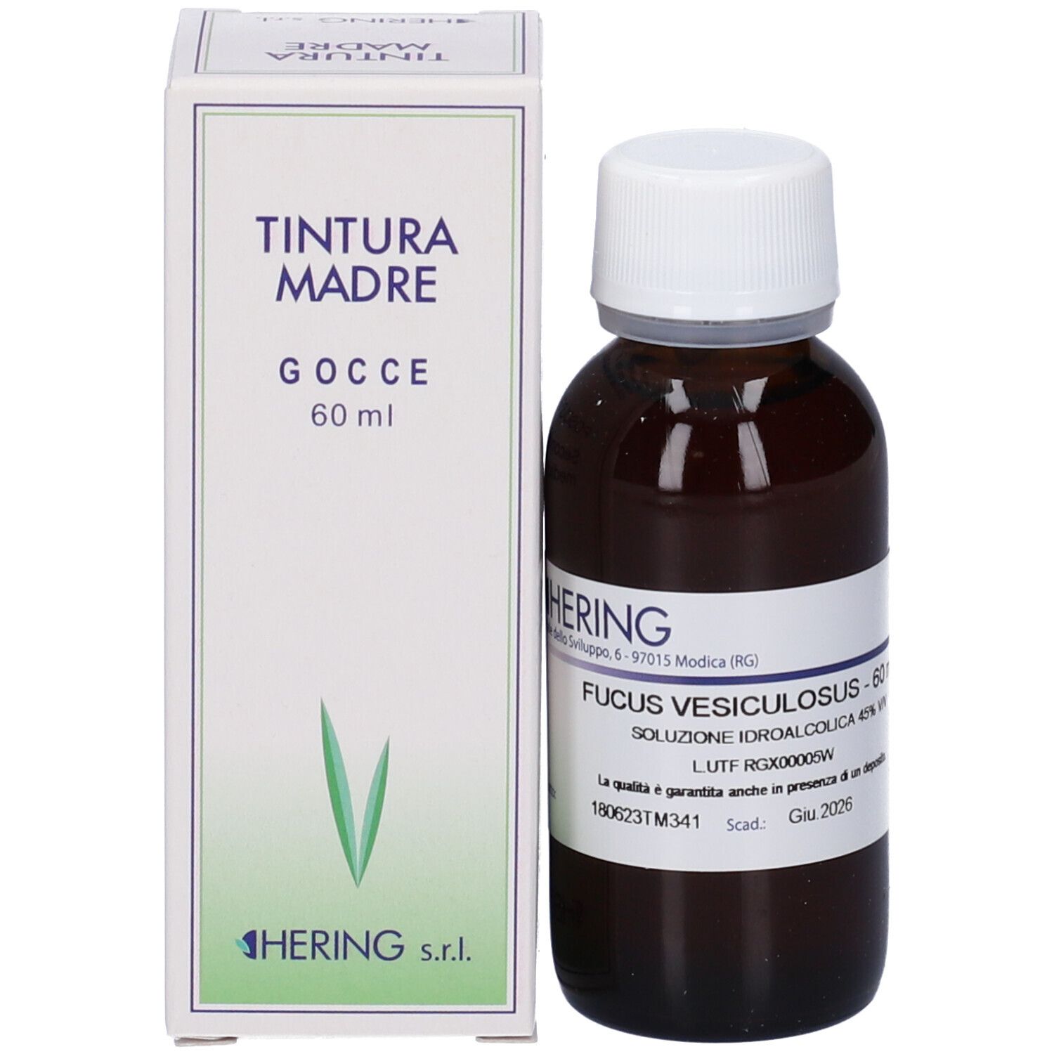 Flacone di vetro marrone con tappo bianco ed etichetta, accanto a una scatola bianca. Scritta: Hering, Fucus Vesiculosus, 60 ml.