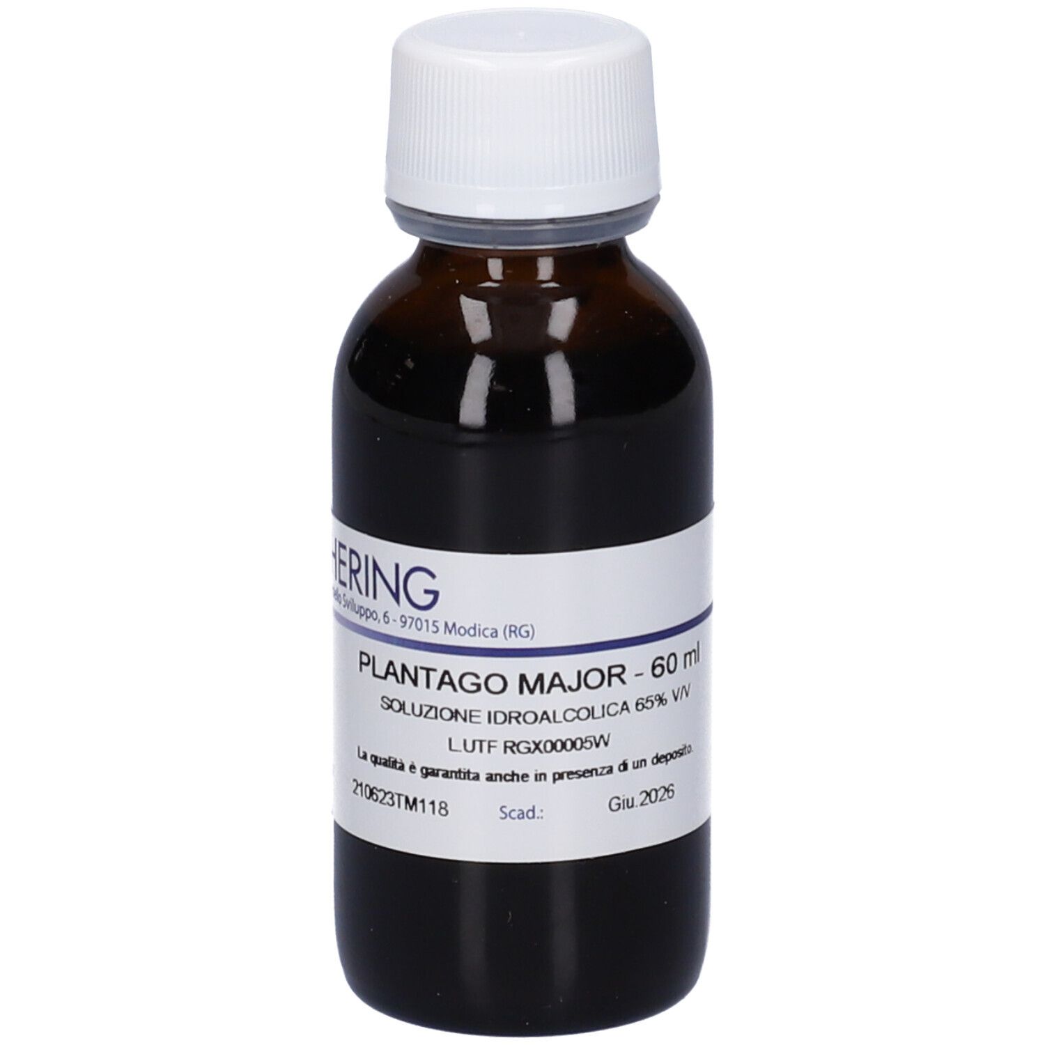 Hering Plantago Major 60Ml Tm