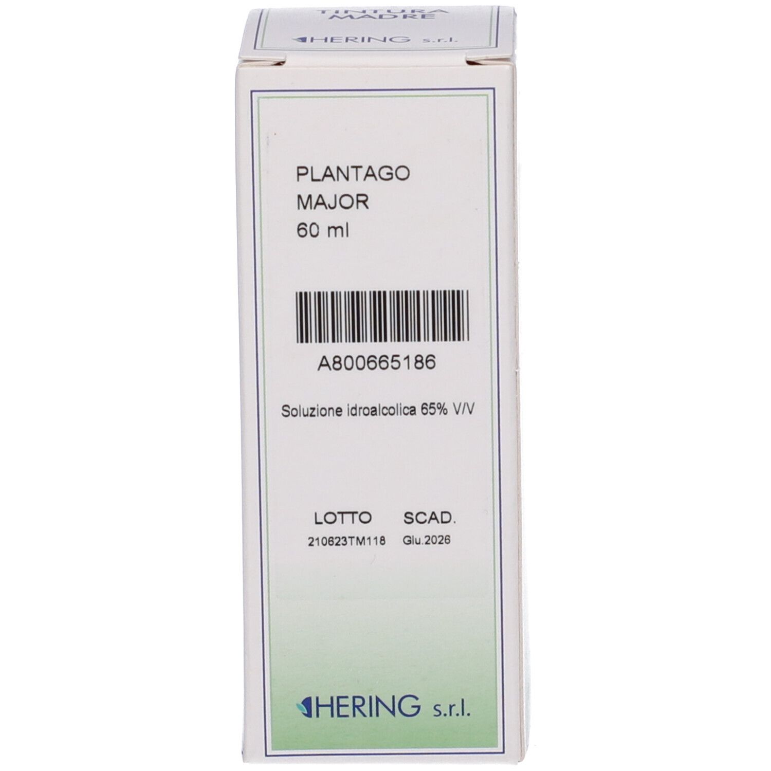 Confezione del prodotto, scatola. La scatola indica PLANTAGO MAJOR - 60 ml. Marchio: HERING.
