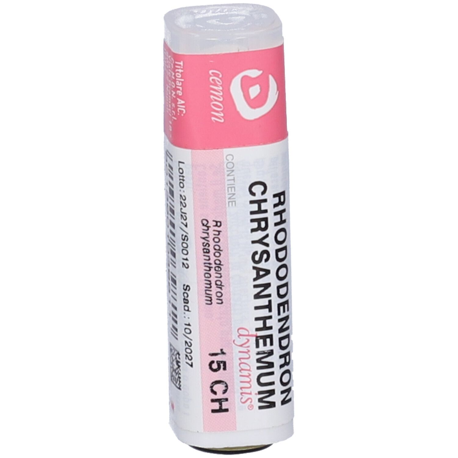 Rhododendron Chrysan 15Ch Gr