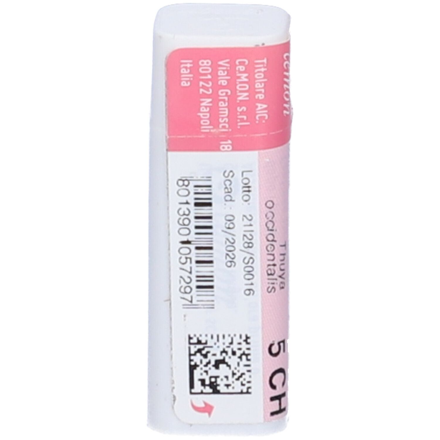 Flacone bianco con etichetta rosa. Scritte: Thuya occidentalis 5 CH, dynamis. Dettagli di produzione.