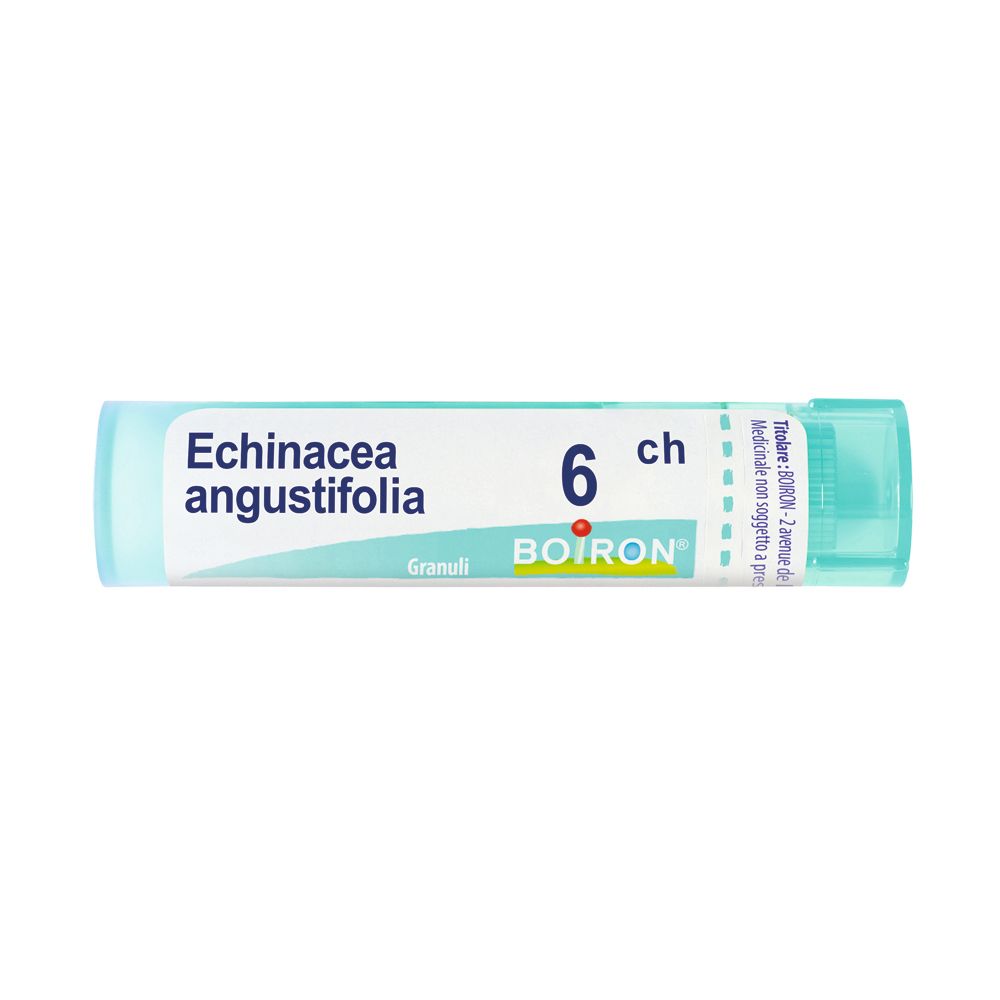 Echinacea Angust 6Ch Gr