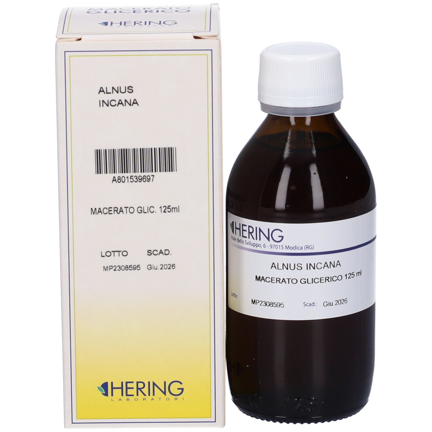 Flacone marrone con tappo bianco ed etichetta accanto a una scatola bianca. Scritta: ALNUS INCANA Macerato Glicerico 125 ml. Marchio HERING.