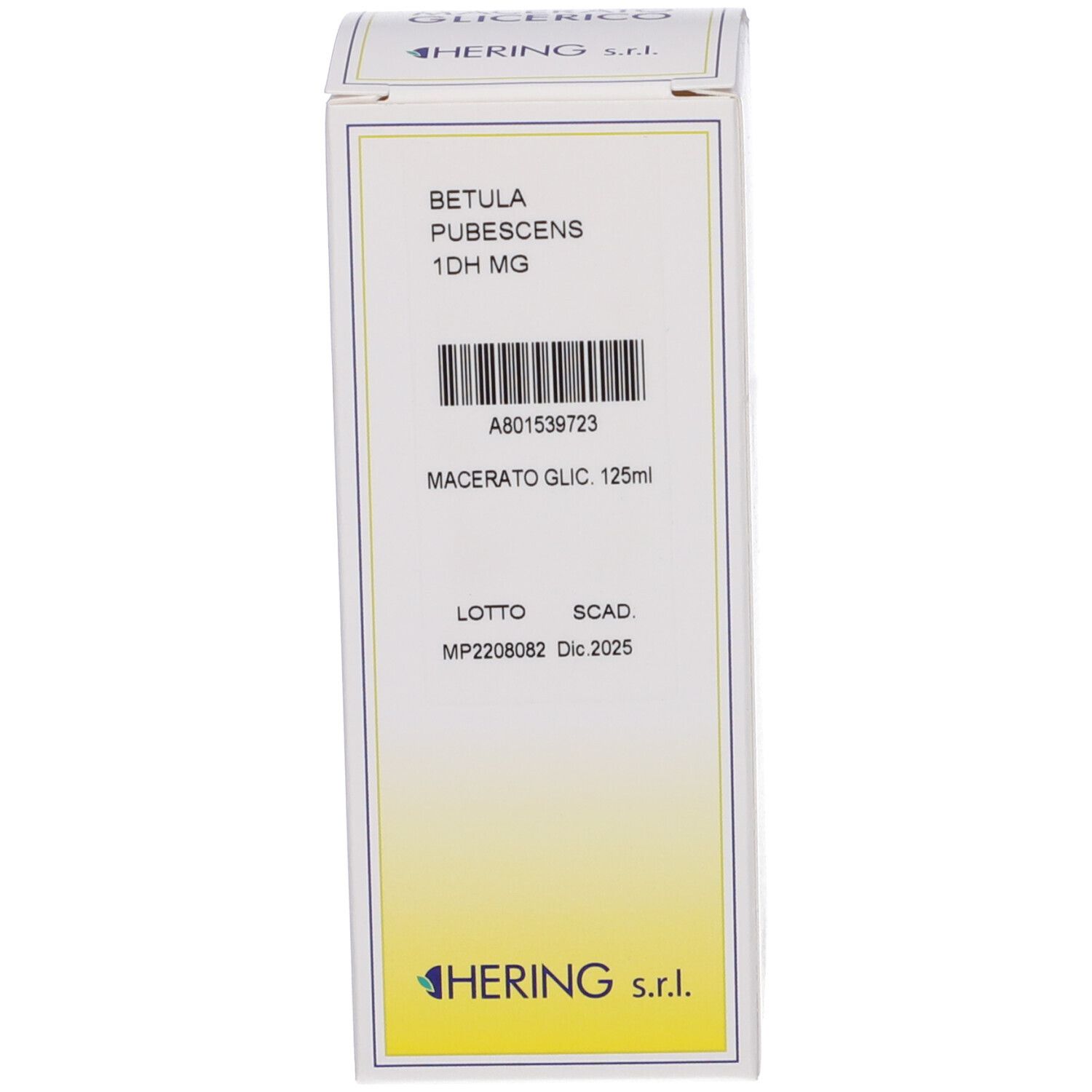 HERING Betula P Macerato Glicerico Gemme