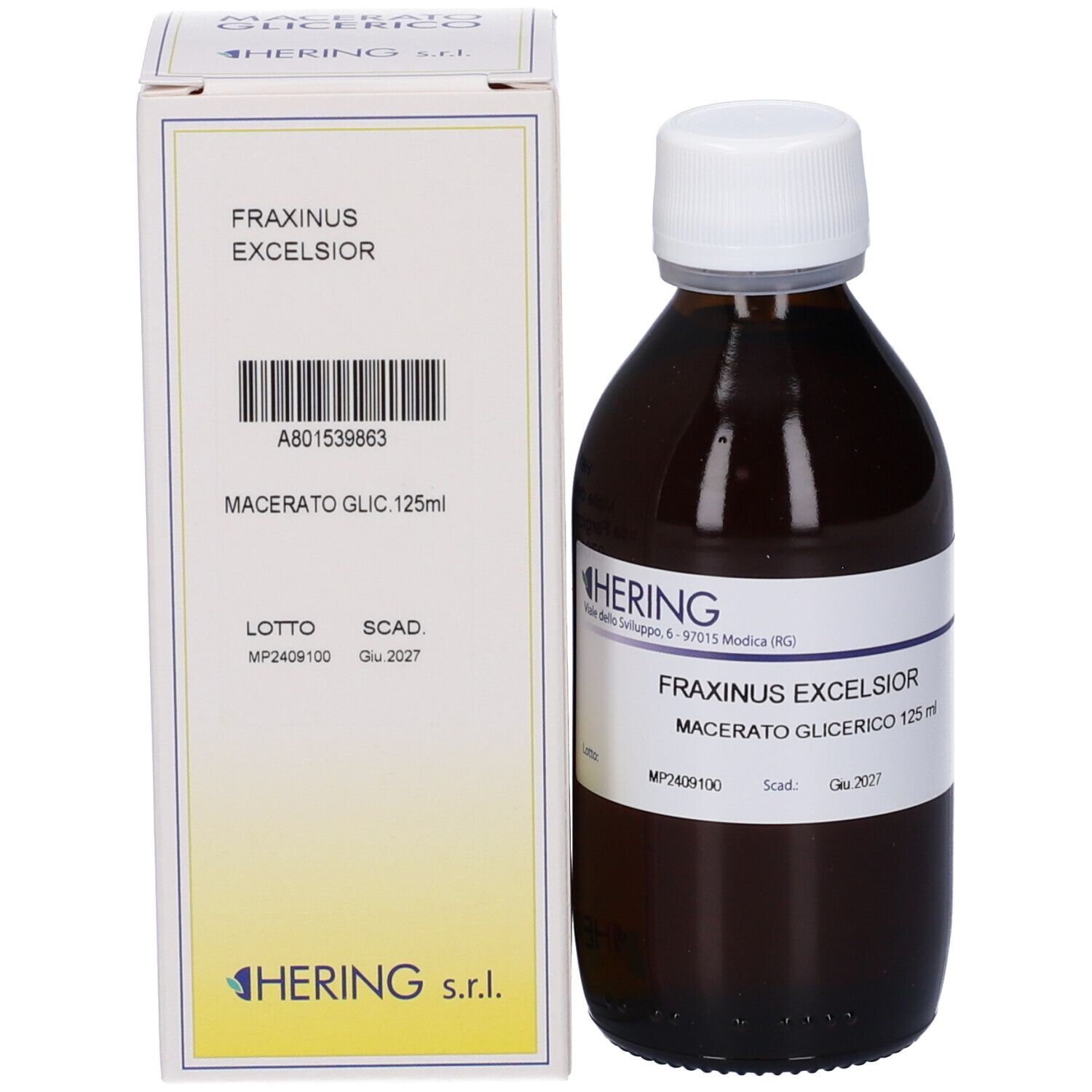 HERING Fraxinus Ex Macerato Glicerico Gemme