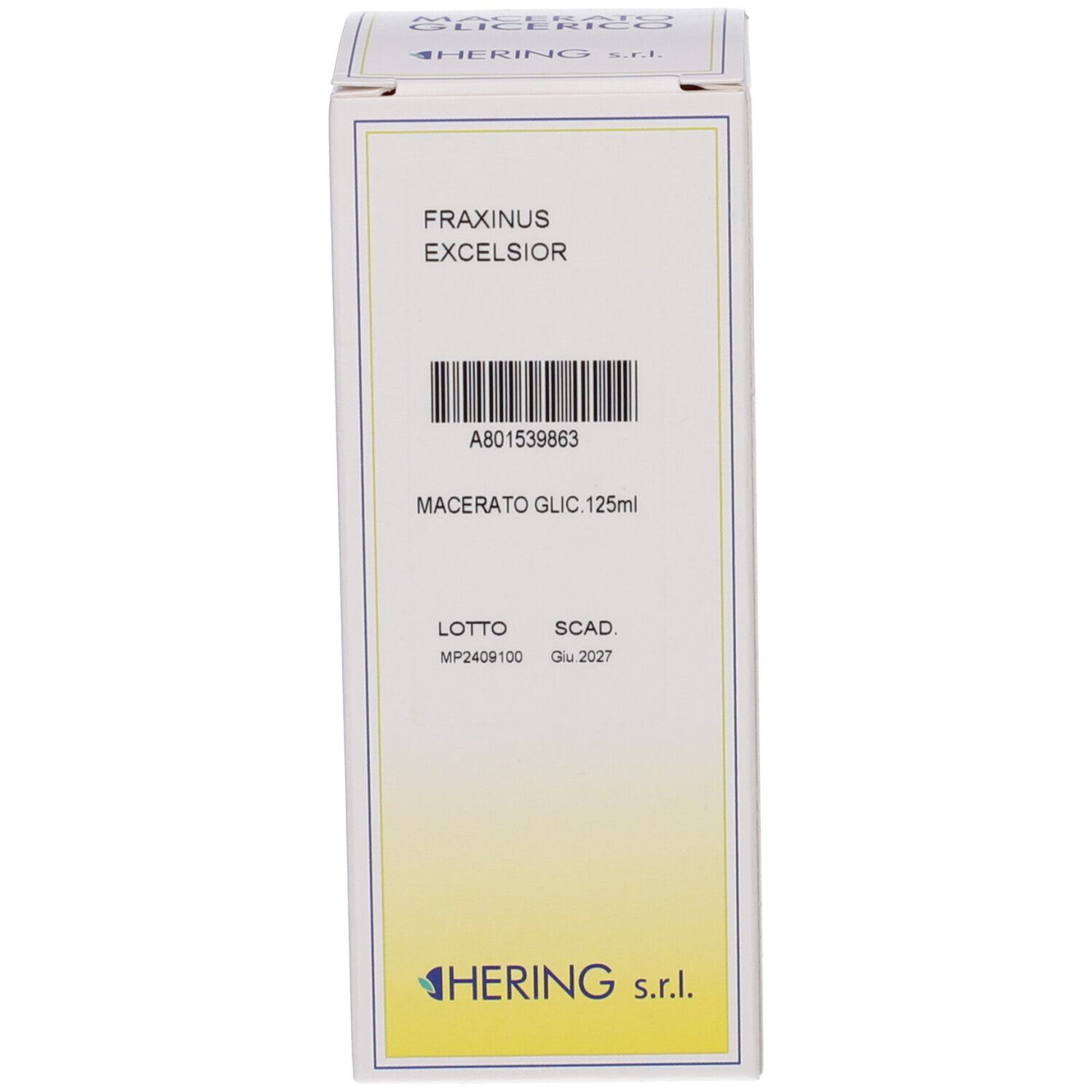 HERING Fraxinus Ex Macerato Glicerico Gemme