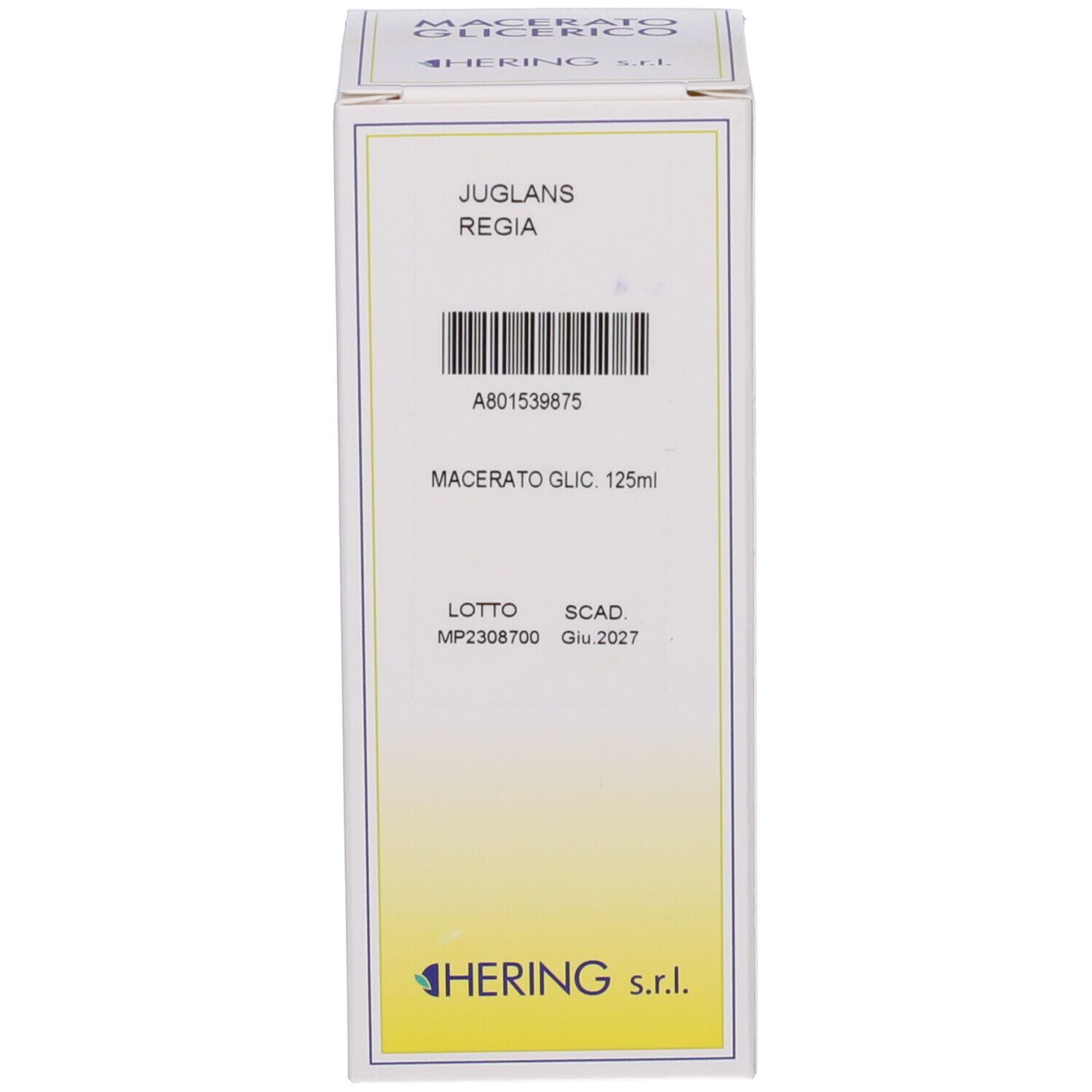 HERING Juglans Regia Macerato Glicerico