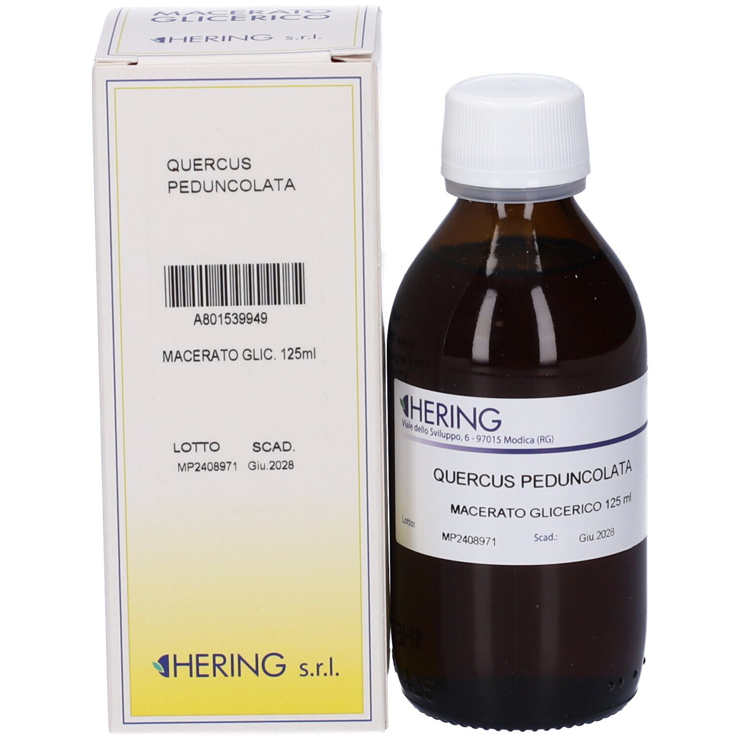 HERING Quercus Ped Macerato Glicerico Gemme