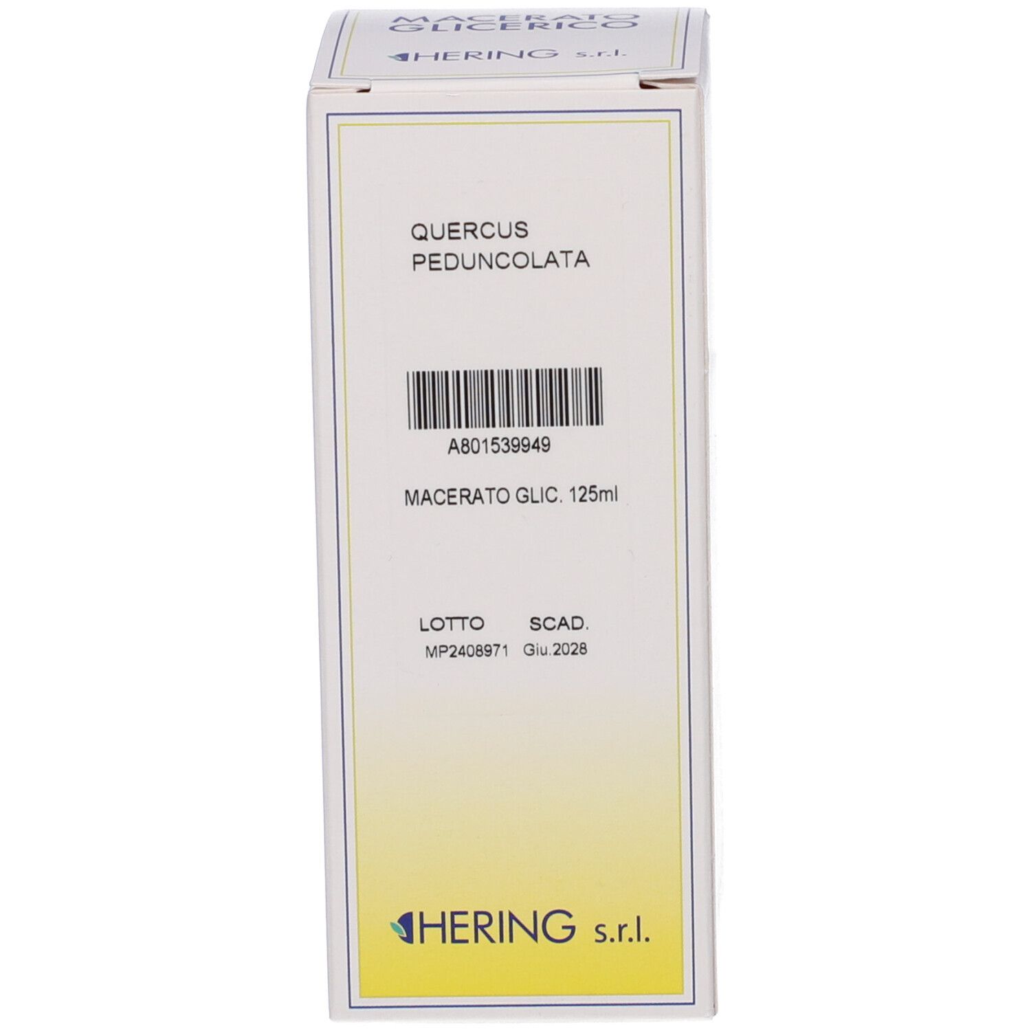 HERING Quercus Ped Macerato Glicerico Gemme