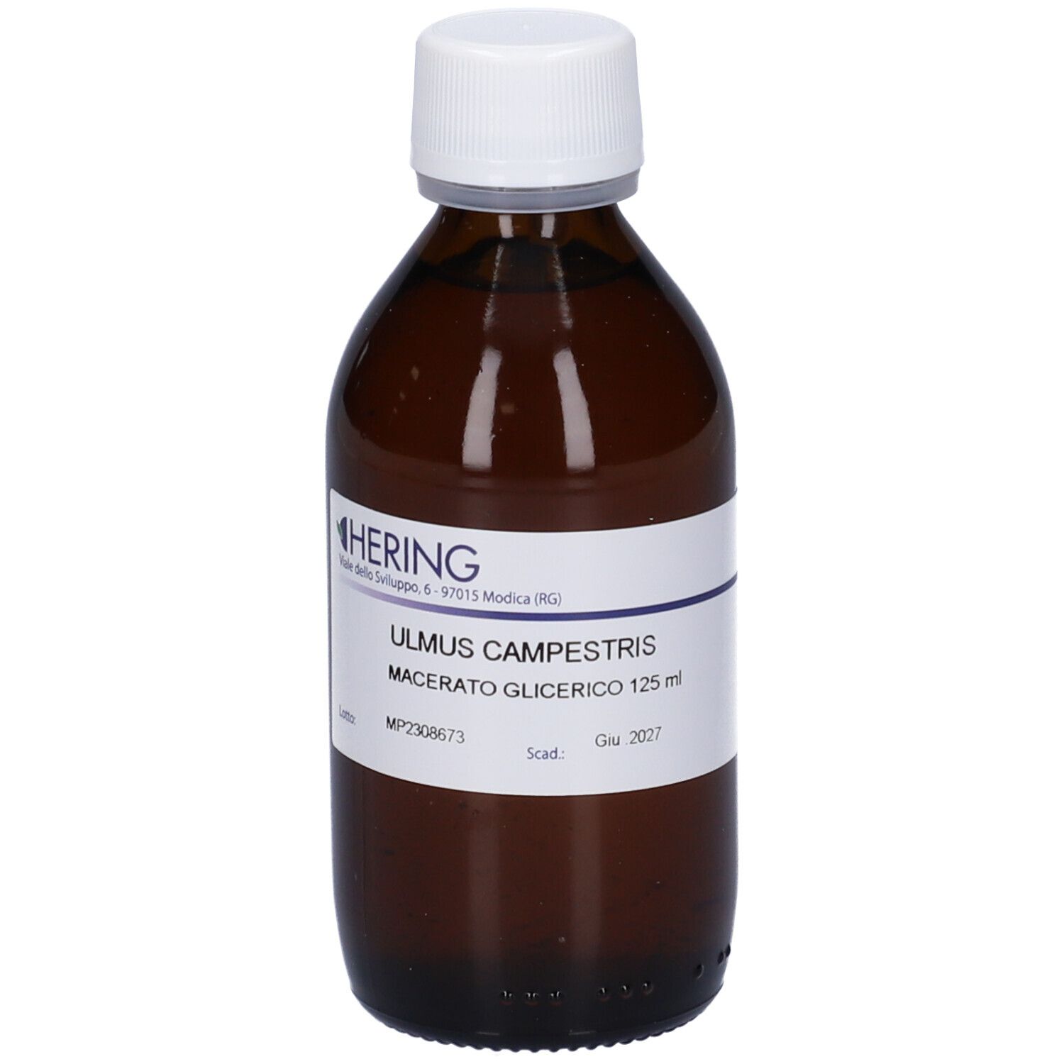 HERING Ulmus Camp Macerato Glicerico Gemme