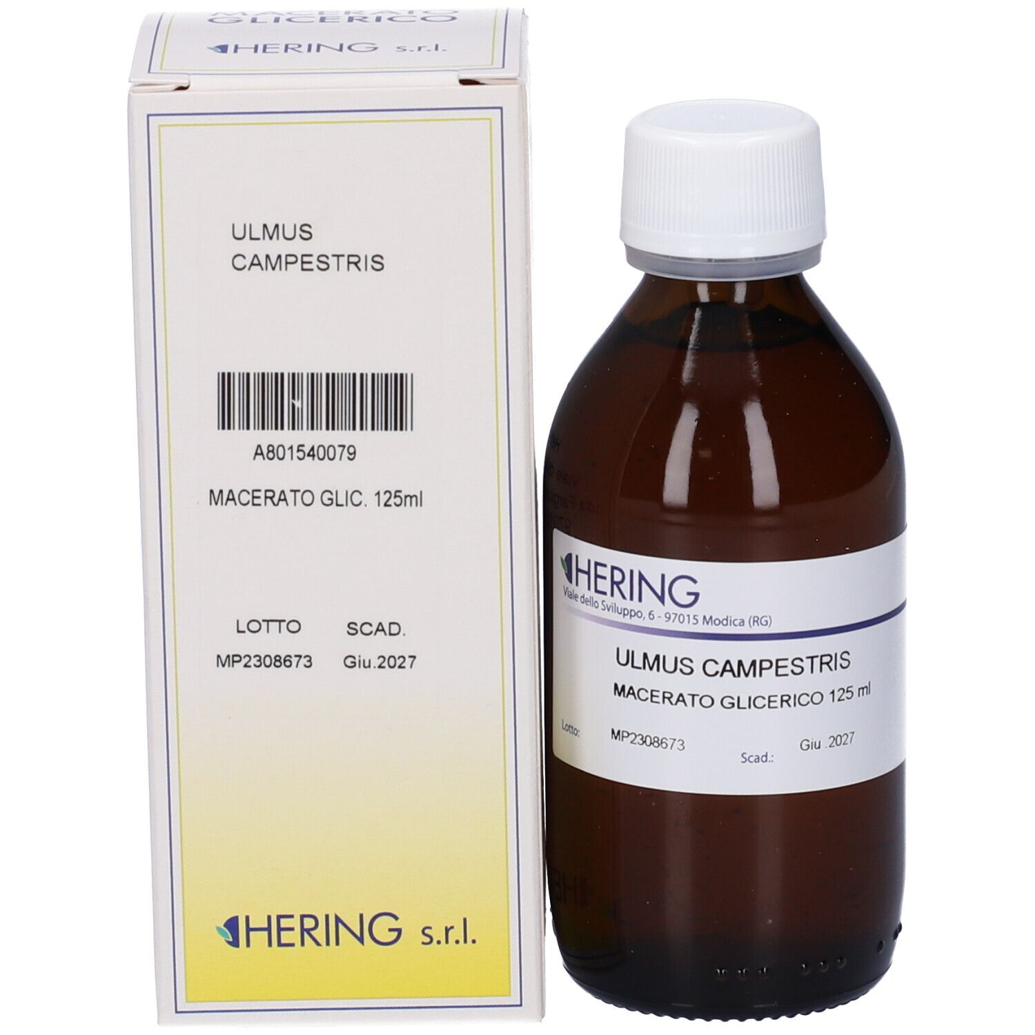 Flacone di vetro marrone con tappo bianco e scatola. L'etichetta riporta HERING, ULmus Campestris, Macerato Glicerico.
