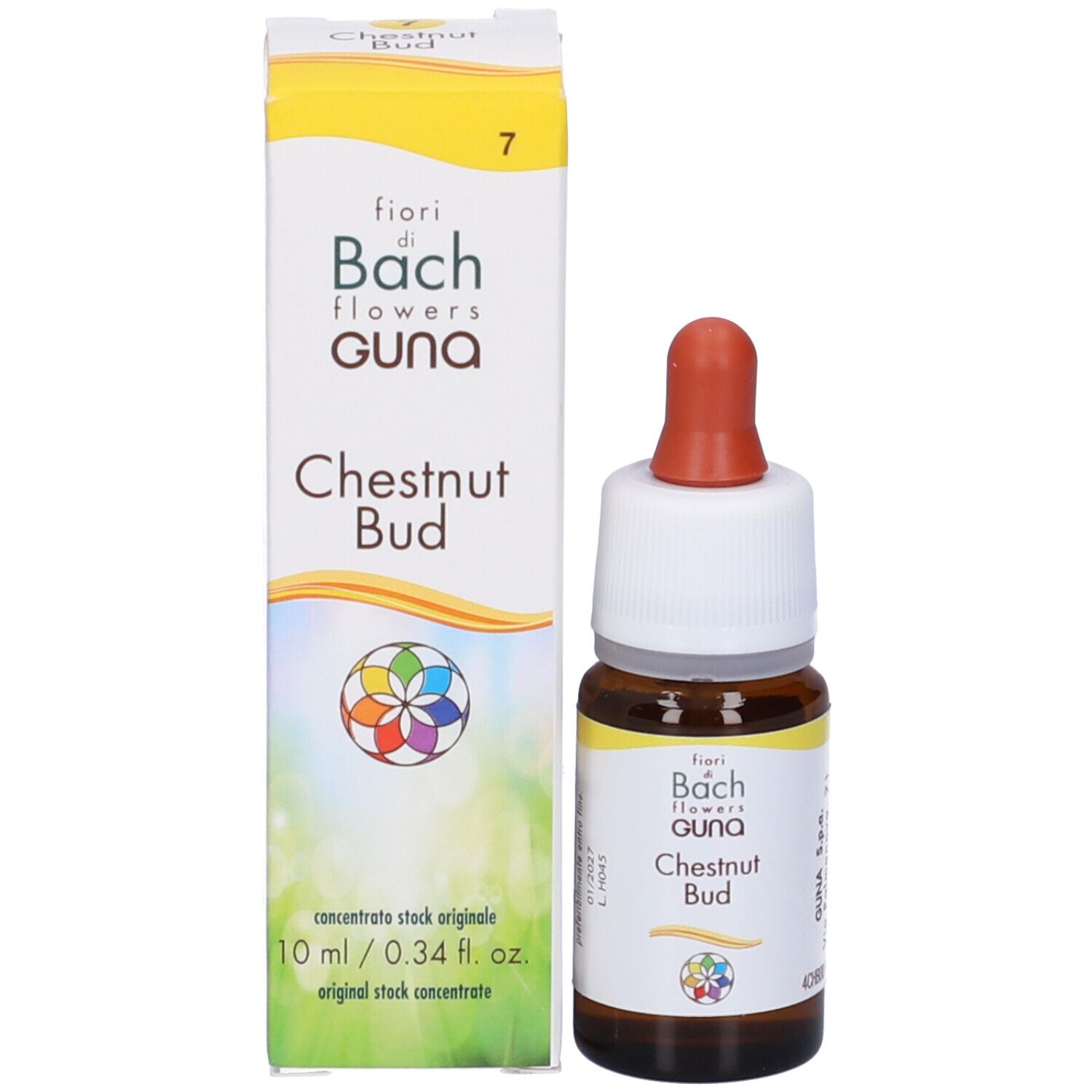 Chestnut Bud Gocce 10 Ml